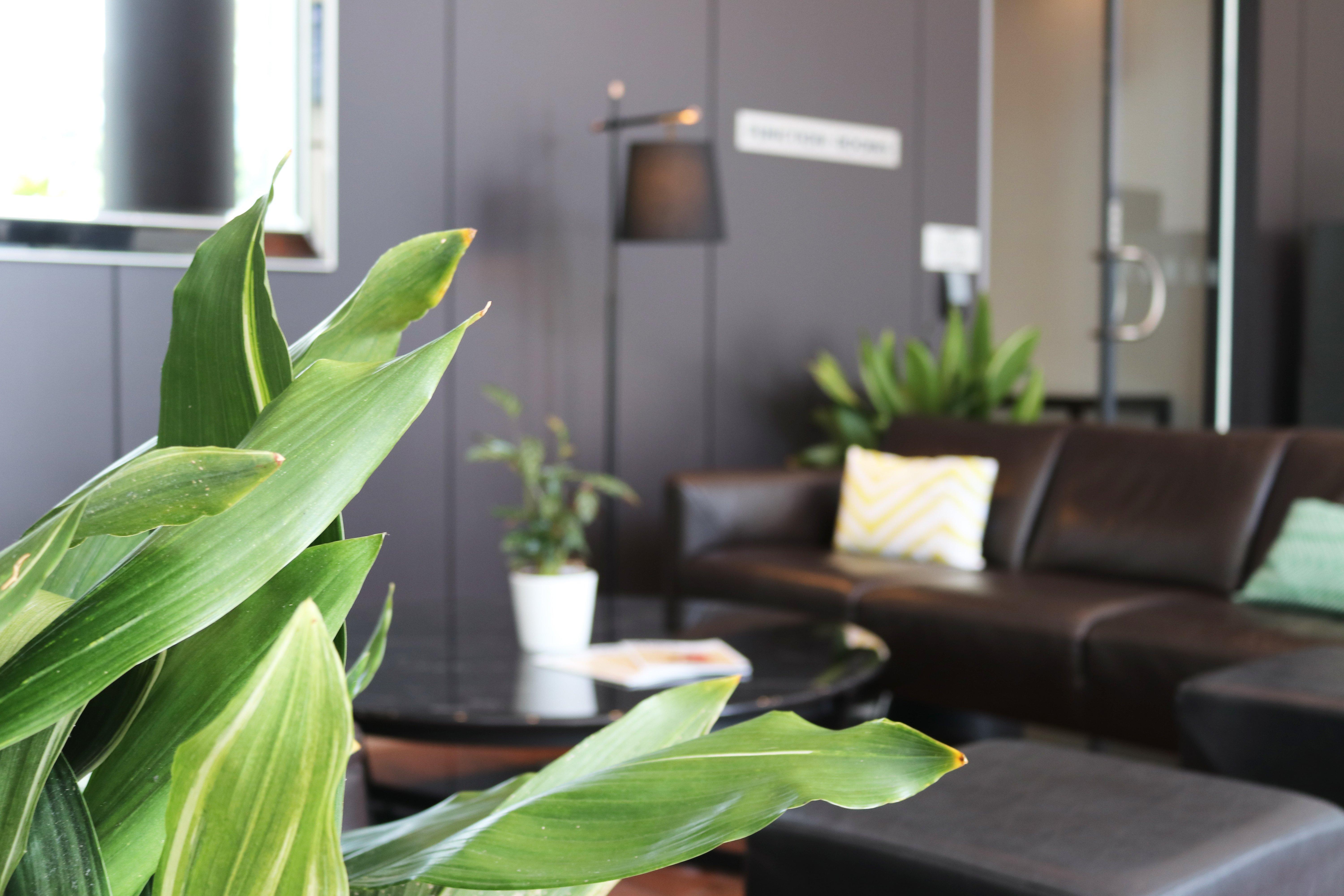 Отель Crowne Plaza Sydney Airport By Ihg Экстерьер фото